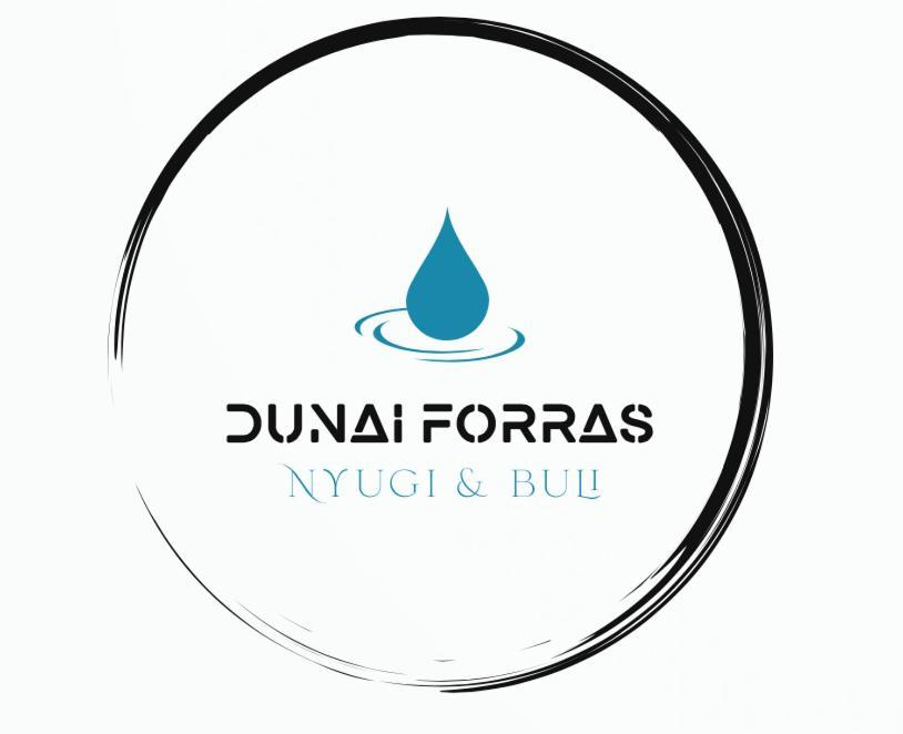 Dunaegyhaza Forras Vendeghaz 빌라 외부 사진